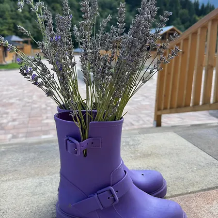 Rijeka 公寓 亚霍里纳