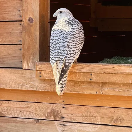 公寓 Rijeka 亚霍里纳