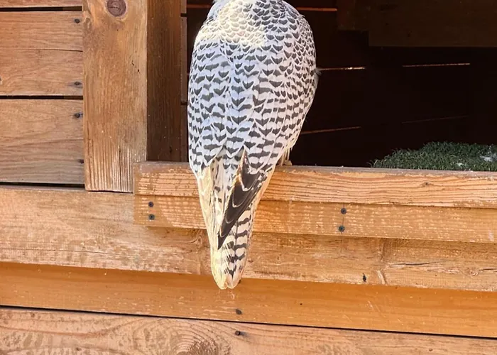 公寓 Rijeka 亚霍里纳